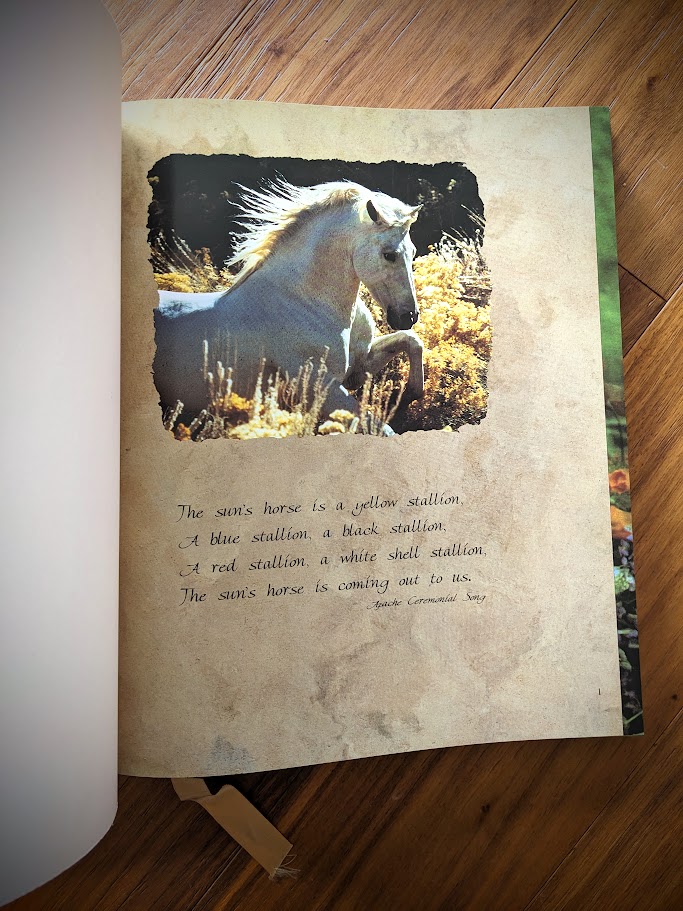 Apache Ceremonial Song - First Edition of Horses of the Sun A Gallery of the World's Most Exquisite Equines by Robert Vavra