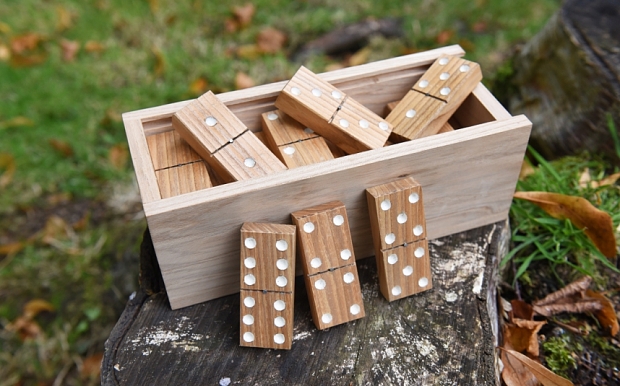 A set of wooden dominoes made from an ash tree