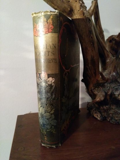 Spine View on a 1870s copy of Arabian Nights from the Lorne Series