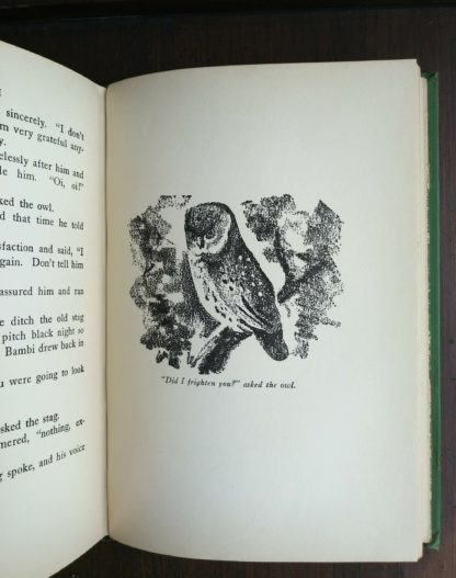 An illustration by Kurt Wiese of an owl on page 221 in a 1928 copy of Bambi A life in the Woods