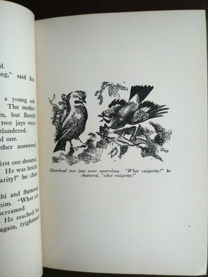 An illustration by Kurt Wiese on page 25 in a 1928 copy of Bambi A life in the Woods