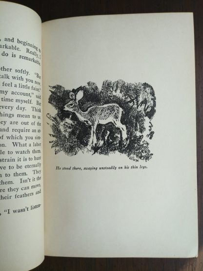 An illustration of Bambi by Kurt Wiese in a 1928 copy of Bambi A Life in the Woods