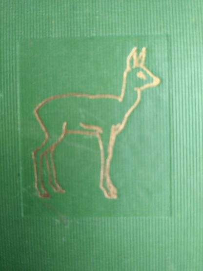 Close up of gold gilt deer on the front cover of a 1928 copy of Bambi A Life in the Woods