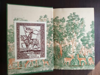 Front paste down and end paper in a 1928 copy of Bambi A Life in the Woods