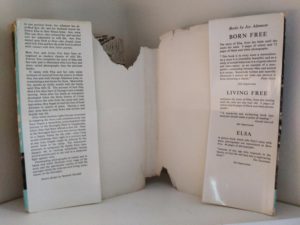 dust jacket in rough shape of a 1962 First Edition copy of Forever Free by Joy Adamson