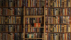 picture of antique books on a large wall shelf