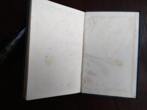 back paste-down and end paper in a 1899 copy of A Midsummer-Night's Dream