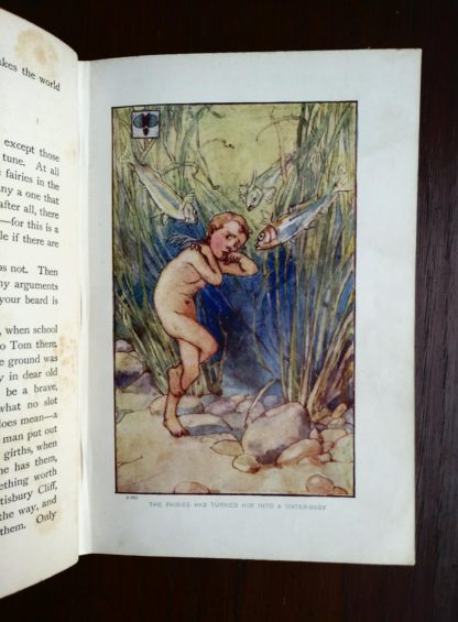 Color plate illustration inside an undated library copy of The Water-Babies by Charles Kingsley published by Blackie and Sons
