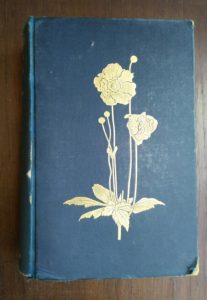 front cover of English Flower Garden by W. Robinson 1913 twelfth edition