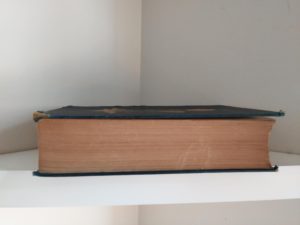 textblock view of English Flower Garden by W. Robinson 1913 twelfth edition