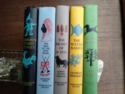popular titles from childrens Junior Deluxe Editions Collection, Circa 40s -50s spine view up close