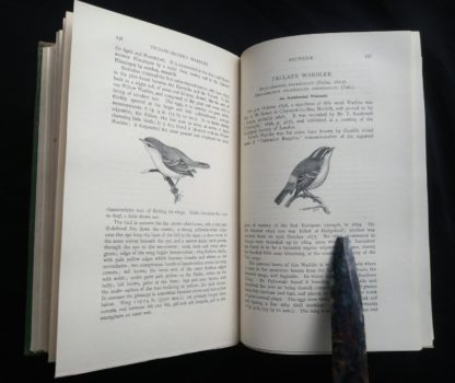 1927 Manual of British Birds 3rd edition Howard Saunders and W. Eagle Clarke page 236 and 237