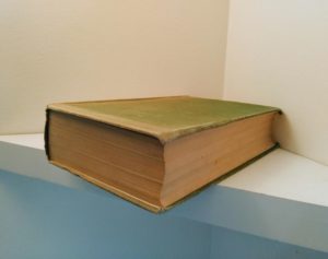 1927 Manual of British Birds 3rd edition Howard Saunders and W. Eagle Clarke top edge and fore edge view