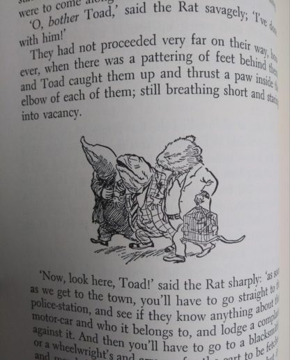 1954 copy of The Wind in the Willows illustrated by Ernest Shepard illustration up close on page 40