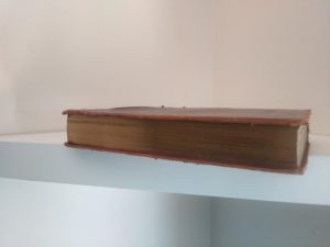 text block view on a 1908 Leather bound RAMOLA by George Eliot published by McClurg & Co