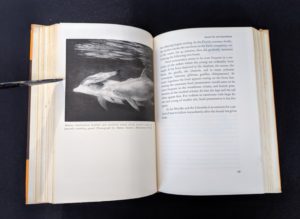1954 First American Edition copy of The Natural History of Mammals by François Bourlière page 169
