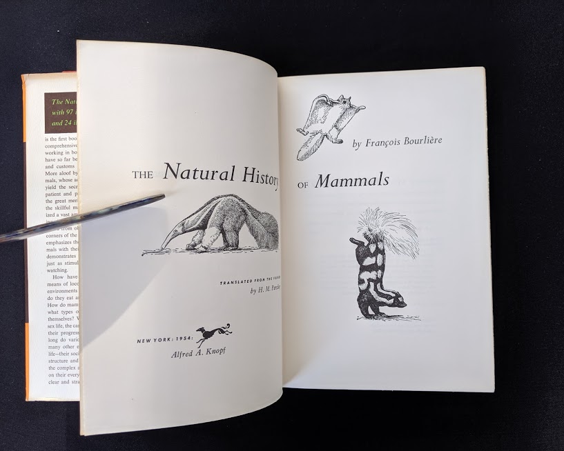 The illustrated natural history [microform]. Mammals; Natural history;  MammifÃ¨res; Sciences naturelles. ^^^jiO I.ITTM; Ci.VhAUO.-r;,i;Â«^u  il/iHor Mull(), .i. ^'â/â,,r, jW,,/,,;;,-. tlu'i' soft snlistai tlii'V arc  of an aijc t K'cs fur (lie