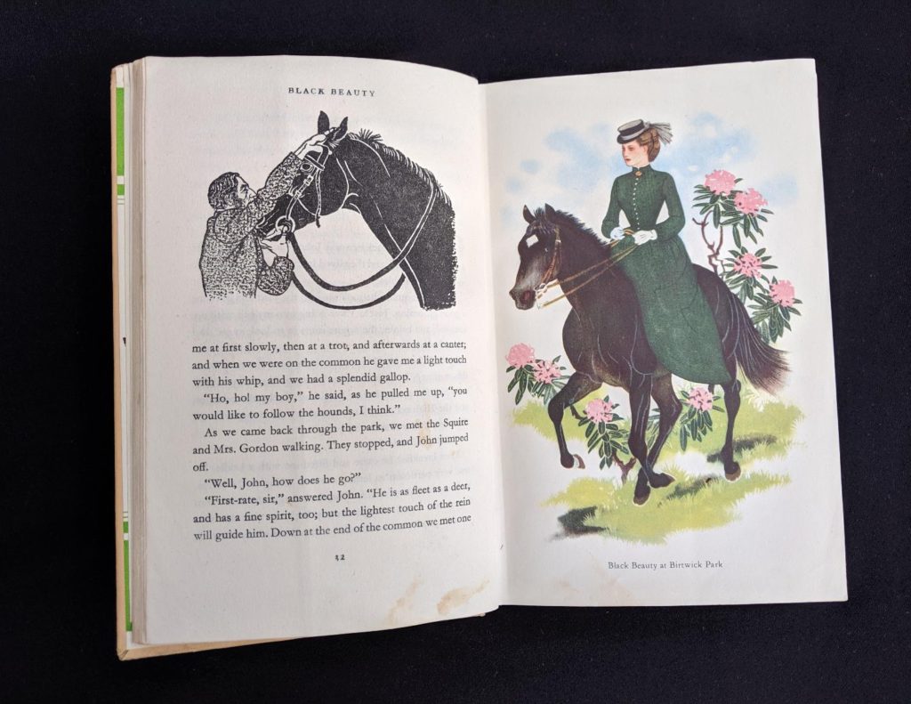 1949 Black Beauty -The Heirloom Library, 1st Printing – SOLD | Ash Tree