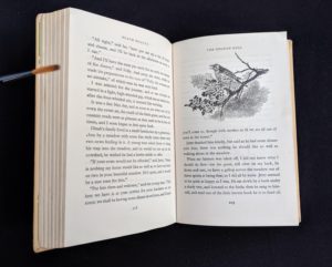 illustration on page 219 inside a 1949 copy of Black Beauty by Anna Sewell - The Heirloom Library - first printing