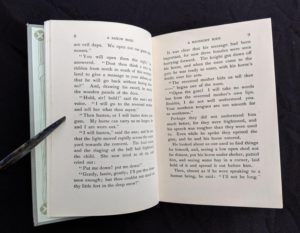 page 8 and 9 inside a 1904 copy of A Saxon Maid by Eliza F. Pollard. Published by Blackie & Son Ltd. London