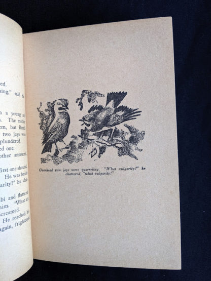 illustration by Kurt Wiese in a 1929 copy of Bambi by Felix Salten published by Grosset & Dunlap