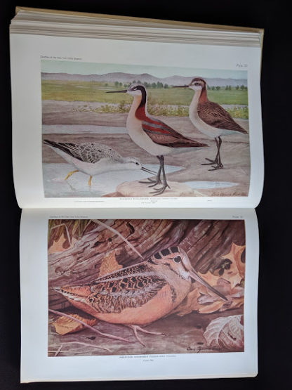 1936 copy of BIRDS OF AMERICA with 106 Color Plates published by Doubleday & Company - color plates