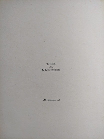 copyright page up close in a 1886 copy of A Brave Struggle - The Orphanes Inheritance by John S. Locke published by McLoughlin Brothers