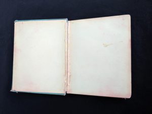 full hinge split inside a 1886 copy of A Brave Struggle - The Orphanes Inheritance by John S. Locke published by McLoughlin Brothers