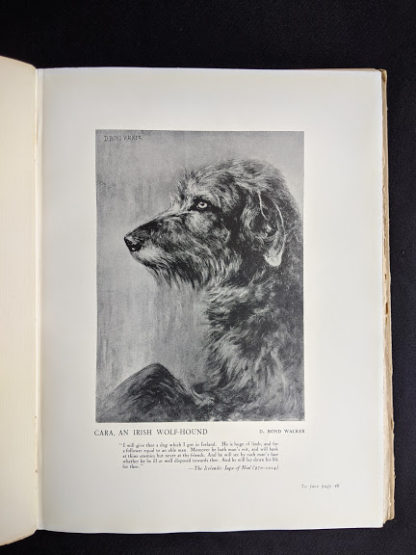 Image of a Irish Wolfhound - 1936 First Edition copy of The Tree - The Centenary Book of the Ulster Society for the Prevention of Cruelty to Animals 1836-1936