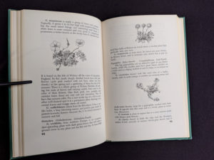 1959 copy of Rock Garden Plants - New Ways to Use Then Around Your Home by Doretta Klaber - descriptive list of plants