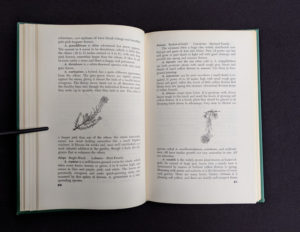 1959 copy of Rock Garden Plants - New Ways to Use Then Around Your Home by Doretta Klaber - detailed plant descriptions