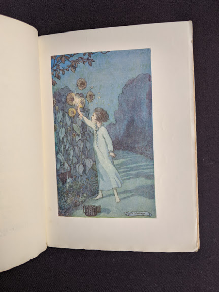 1915 copy of Marys Meadow and Other Tales of Field Flowers by Juliana Horatia Ewing - illustration by M.V. Wheelhouse
