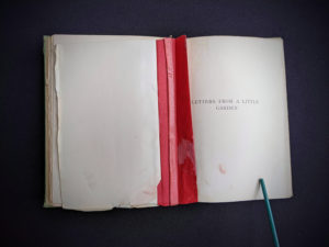 hinge badly repaired with tape inside a 1915 copy of Marys Meadow and Other Tales of Field Flowers by Juliana Horatia Ewing
