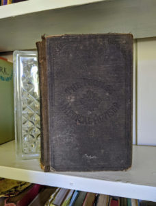 1895 The Peoples Common Sense Medical Adviser by R.V. Pierce M.D.