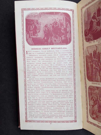 1914 Hungarian Bible - A SZÁZADOK LATKÉPE VAGY - A TEREMTÉS MÜVE KÉPEKBEN - page 47