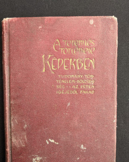 1914 Hungarian Bible - A SZÁZADOK LATKÉPE VAGY - A TEREMTÉS MÜVE KÉPEKBEN - title up close