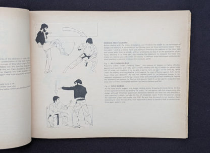 Dodges and Invasions - 1975 The Beginners Guide to KUNG-FU by Felix Dennis & Paul Simmons - First Printing