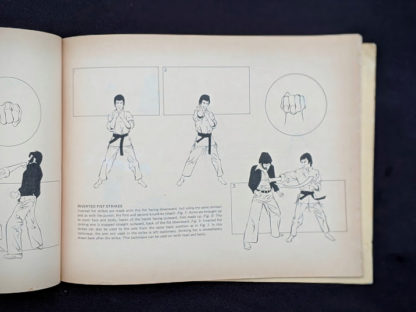 Inverted Fist strikes in a 1975 copy of The Beginners Guide to KUNG-FU by Felix Dennis & Paul Simmons - First Printing