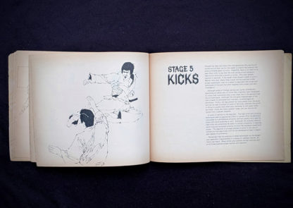 Kicks - 1975 The Beginners Guide to KUNG-FU by Felix Dennis & Paul Simmons - First Printing