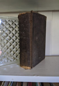 Spine view - 1895 The Peoples Common Sense Medical Adviser by R.V. Pierce M.D.