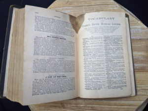 Vocabulary Index - 1895 The Peoples Common Sense Medical Adviser by R.V. Pierce M.D.
