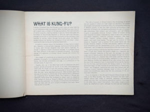 What is Kung-Fu- 1975 The Beginners Guide to KUNG-FU by Felix Dennis & Paul Simmons - First Printing