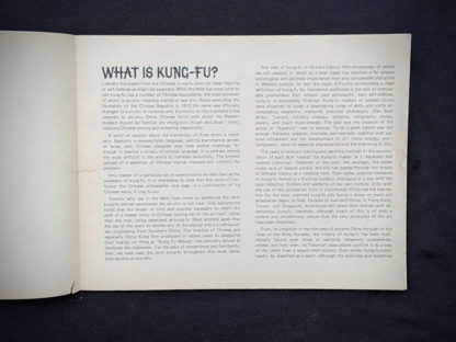 What is Kung-Fu- 1975 The Beginners Guide to KUNG-FU by Felix Dennis & Paul Simmons - First Printing