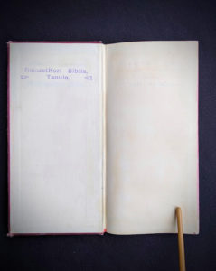 front pastedown and endpaper - 1914 Hungarian Bible - A SZÁZADOK LATKÉPE VAGY - A TEREMTÉS MÜVE KÉPEKBEN