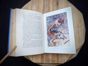 pictoral plate inside a 1915 copy of The Golden Dream By R. M. Ballantyne - List of illustrations