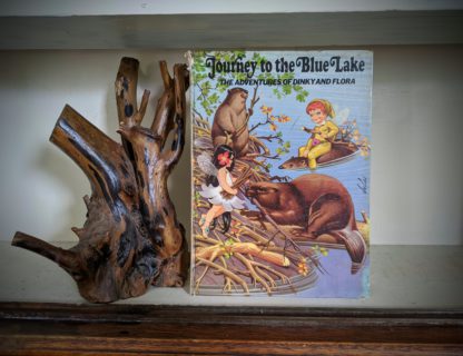 1973 copy of Journey to the Blue Lake - The Adventures of Dinky and Flora
