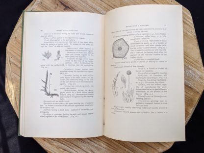 Alphabetical list with diagrams inside a 1900 copy of Mosses with a Hand-Lens - A Non - Technical Handbook of the More Recognized Mosses of the North-Eastern United States - By A J Grout