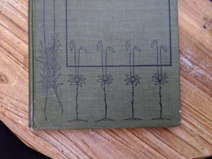 Front cover up close - 1900 copy of Mosses with a Hand-Lens - A Non - Technical Handbook of the More Recognized Mosses of the North-Eastern United States - By A J Grout