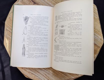 List with images inside a 1900 copy of Mosses with a Hand-Lens - A Non - Technical Handbook of the More Recognized Mosses of the North-Eastern United States - By A J Grout