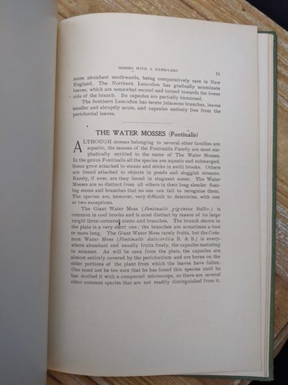 The Water Mosses in a 1900 copy of Mosses with a Hand-Lens - A Non - Technical Handbook of the More Recognized Mosses of the North-Eastern United States - By A J Grout